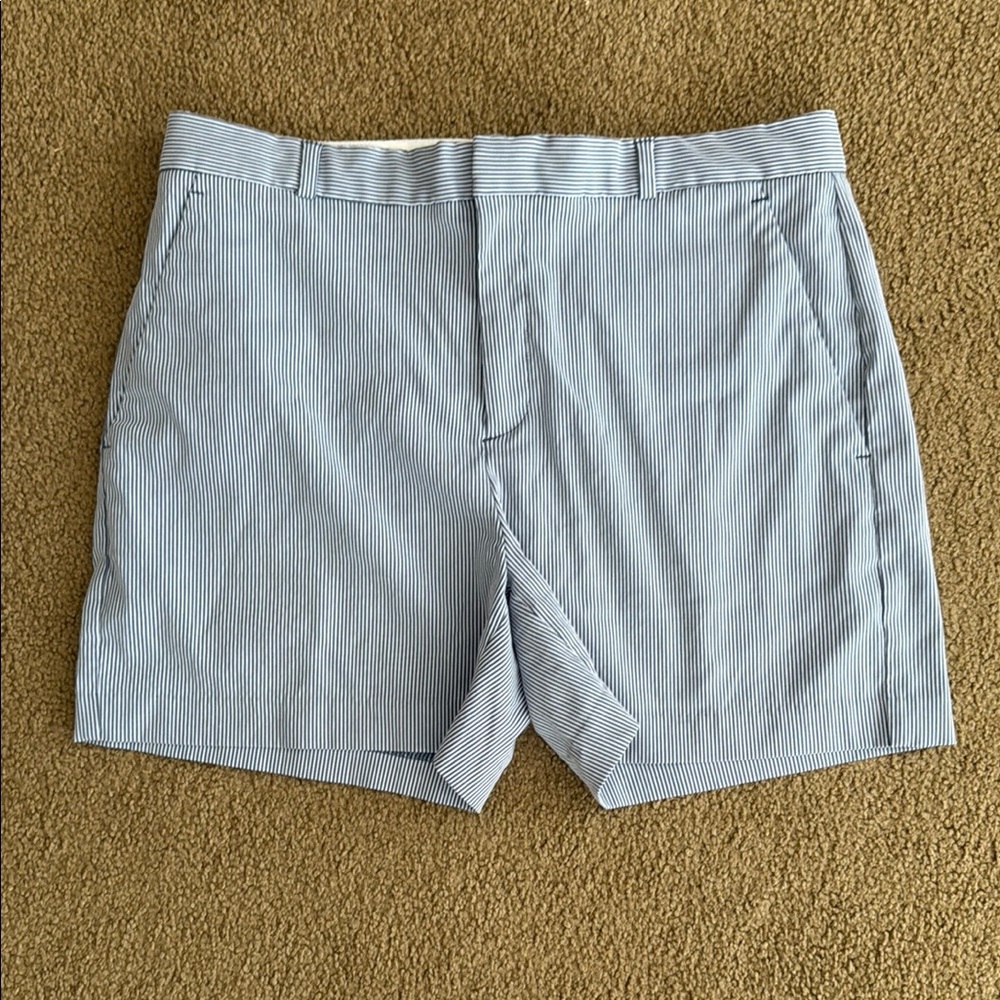 Banana Republic Navy and White Striped Shorts